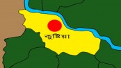 নৌকার বিজয় মিছিলে একজনের মৃত্যু