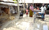 বগুড়ার নন্দীগ্রামে অসহায় রেহেনার পরিবারকে উৎখাতের ষড়যন্ত্র