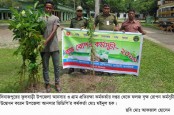 ফুলবাড়ীতে আনসার ভিডিপি’র উদ্দ্যোগে ফলজ বৃক্ষ রোপন ও চারা বিতরন ॥