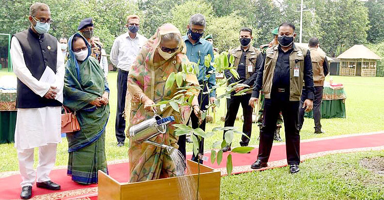 তিনটি করে গাছ লাগান : প্রধানমন্ত্রী
