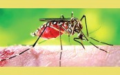 একদিনে ডেঙ্গু আক্রান্ত আরো ২৫৮ জন