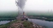 দেশের সর্বনিম্ন তাপমাত্রা তেঁতুলিয়ায় ১১.৯ ডিগ্রি
