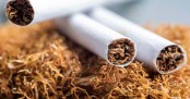 দেশে তামাকে বছরে এক লাখ মানুষের মৃত্যু
