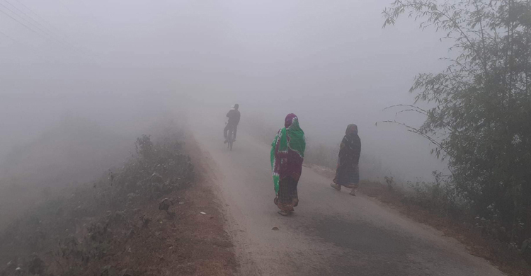 ৫ জেলায় শৈত্যপ্রবাহ, চুয়াডাঙ্গায় সর্বনিম্ন তাপমাত্রা ৮.৫
