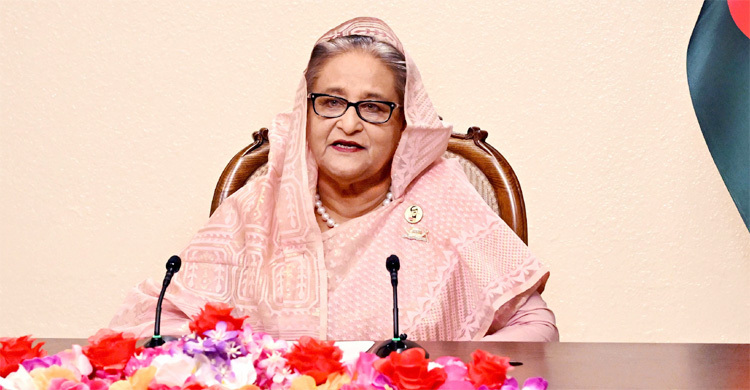 সাংবিধানিক প্রক্রিয়া ব্যাহতের উদ্ভট ধারণা-ইন্ধনে প্রশ্রয় দেবেন না
