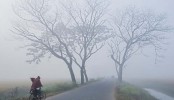 ১৭ জেলায় বইছে শৈত্যপ্রবাহ, অব্যাহত থাকতে পারে

