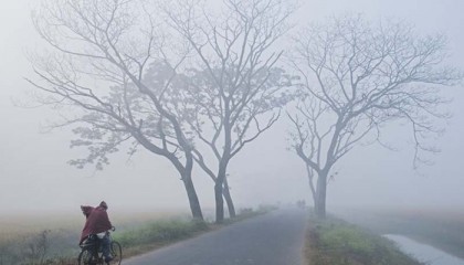 ১৭ জেলায় বইছে শৈত্যপ্রবাহ, অব্যাহত থাকতে পারে
