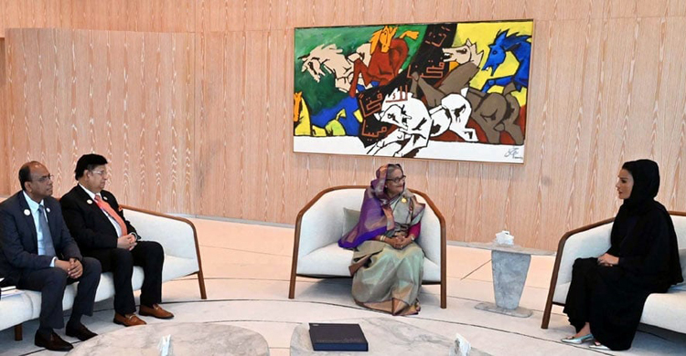 প্রধানমন্ত্রীর সঙ্গে কাতার ফাউন্ডেশনের চেয়ারপারসনের সাক্ষাৎ
