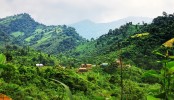বান্দরবানে পাহাড়ি দুই গ্রুপে গোলাগুলি, নিহত ৮