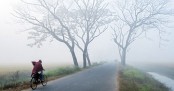কুয়াশায় বেড়েছে শীত, আরও বাড়তে পারে
