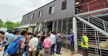 ফের সাদিক অ্যাগ্রোতে দুদক, ৬ ব্রাহমা গরু জব্দ

