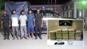 র‌্যাব-১২’র অভিযানে সিরাজগঞ্জ তাড়াশ থানা এলাকা হতে ৮১ কেজি গাঁজাসহ ০৩ জন মাদক ব্যবসায়ী গ্রেফতার
