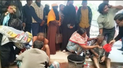 নাটোরের নলডাঙ্গায় শিয়ালের কাঁমড়ে দুইজন আহত 