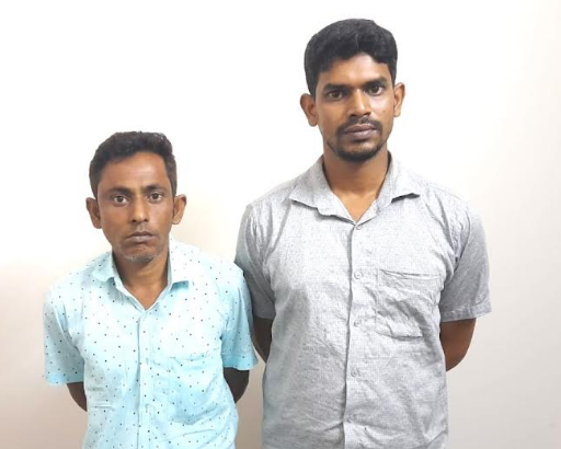 সিরাজগঞ্জে র‌্যাব-১২ এর অভিযানে ১৭ কেজি গাঁজাসহ দুই মাদক ব্যবসায়ী গ্রেফতার