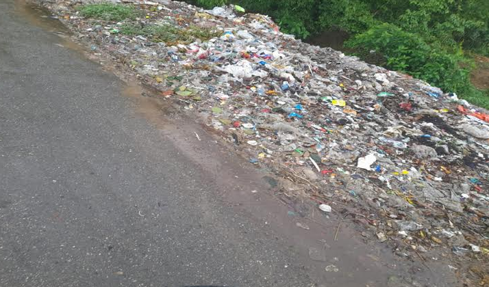 ঘোড়াঘাটে সড়কের পাশে ময়লার ভাগাড়, দুর্গন্ধে অতিষ্ঠ জনজীবন