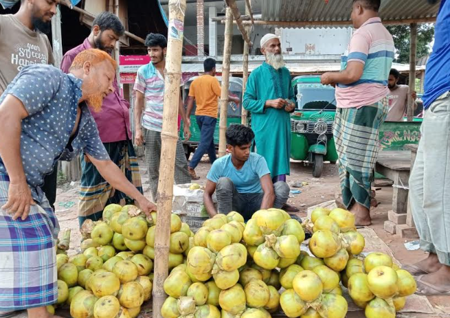 শিবগঞ্জে তীব্র গরমে তালের শাঁসের চাহিদা বেড়েছে