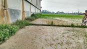 জলাবদ্ধতা-ফসলহানীসহ জনদুর্ভোগ 
কালাইয়ে ফিডমিল পরিচালনায় নীতিমালা লঙ্ঘনের অভিযোগ