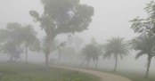 ভোরে হালকা কুয়াশা পড়তে পারে, অপরিবর্তিত থাকবে তাপমাত্রা
