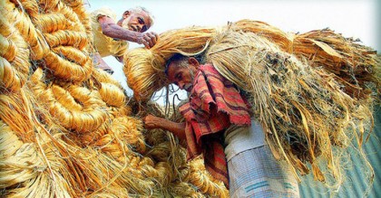 জাতীয় পাট দিবস আজ
