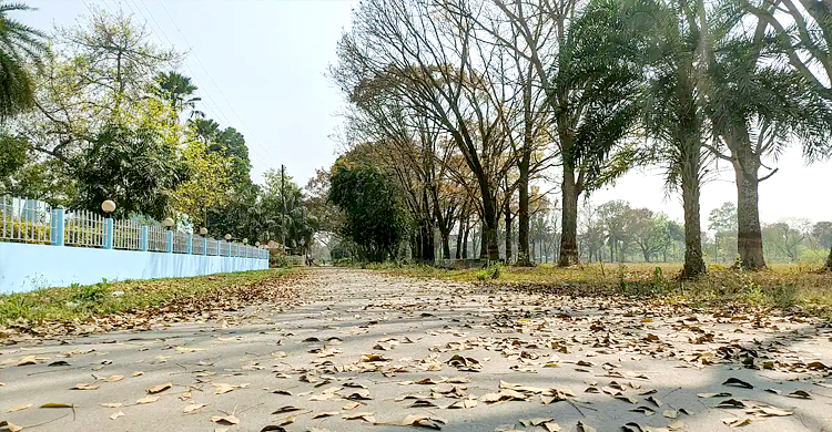 দিনের তাপমাত্রা বাড়তে পারে, কমতে পারে রাতের
