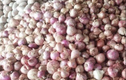 রংপুরে সপ্তাহের ব্যবধানে বেড়েছে পেঁয়াজসহ বেশ কয়েকটি পণ্যের দাম