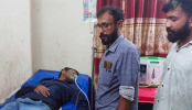 বগুড়ায় হিরো আলমের আত্মহত্যার চেষ্টা, হাসপাতালে ভর্তি