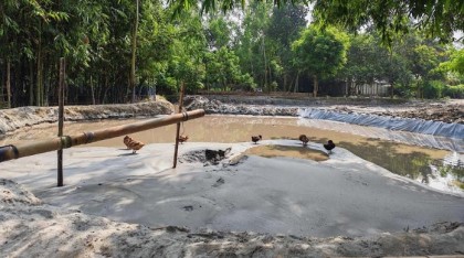 রংপুরে  ভবানীপুর গুচ্ছগ্রামে অব্যাহত অবৈধ বালু উত্তোলন: প্রশাসনের নিরব