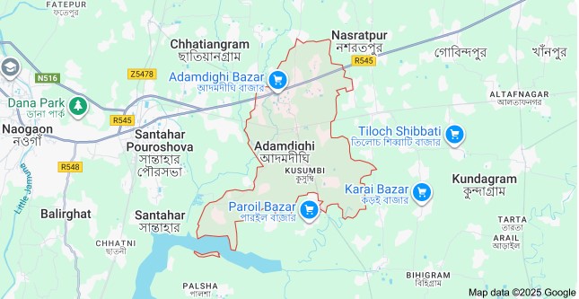 বগুড়ার আদমদীঘিতে বিড়াল হত্যা: থানায় জিডি, তদন্তে পুলিশ