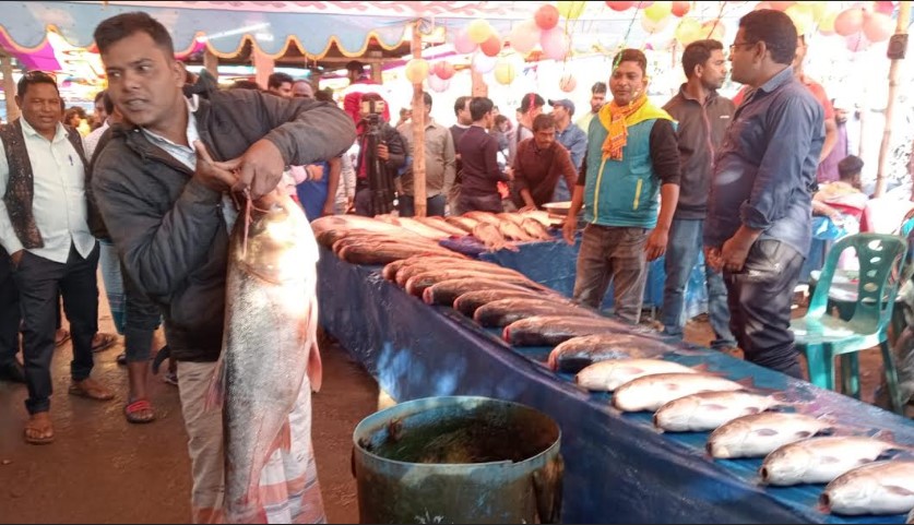 অগ্রহায়ণে পাঁচশিরা বাজারে নবান্ন উৎসবের ঐতিহ্যবাহী মাছের মেলা