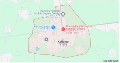 কাহালুতে সিএনজির ধাক্কায় বিধবা নারী নিহত