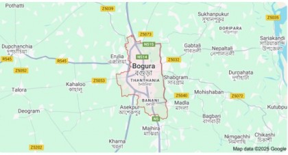 গাবতলীতে বিলের মাছ চুরি - থানায় অভিযোগ