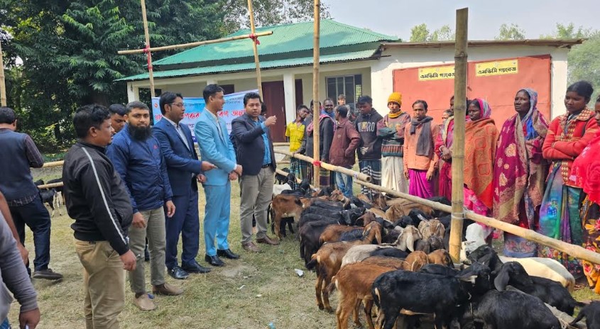 সিংড়ায় ক্ষুদ্র নৃগোষ্ঠীর মাঝে ছাগল বিতরণ