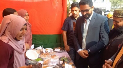 উল্লাপাড়ায় দেশীয় ঐতিহ্যের পিঠা উৎসব অনুষ্ঠিত