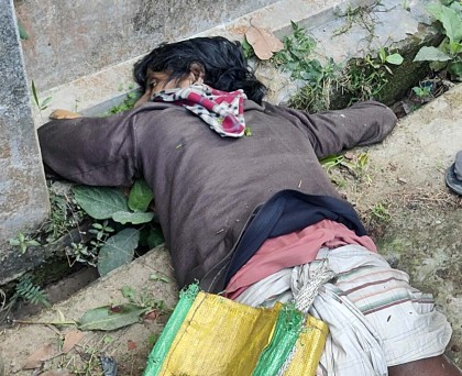 শেরপুরে অন্যের গাছের ডাব খাওয়া হলো না যুবকের, গাছ থেকে পড়েই মৃত্যু