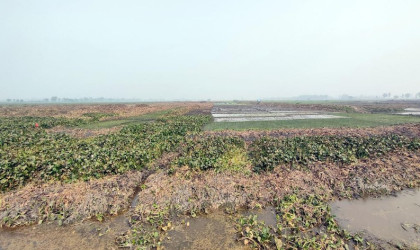 রাণীনগরে হাজার হাজার কৃষকের চির দুঃখ ‘রক্তদহ বিল’