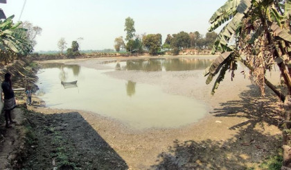 নওগাঁয় মামলার বেড়াজালে শতাধিক সরকারি খাস পুকুর বেদখল, কোটি কোটি টাকা রাজস্ব হারাচ্ছে সরকার