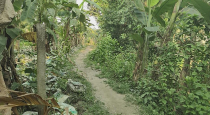 ব্রিটিশ আমলের রাস্তায় চলাচল বন্ধ; শেরপুরে কয়েক শতাধিক পরিবার দুর্ভোগে