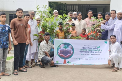 সলঙ্গায় বিশ্ব পরিবেশ দিবস পালিত