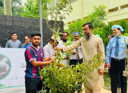 রাজশাহীতে বিশ্ব পরিবেশ দিবস ২০২৬ পালিত, বৃক্ষরোপণ ও চারা বিতরণ
