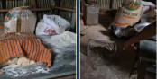 বগুড়ায় ইঁদুরের ফাঁদ ও কবুতরের বিষ্ঠার পাশেই তৈরী হচ্ছিল জনপ্রিয় ফুচকা-চটপটি