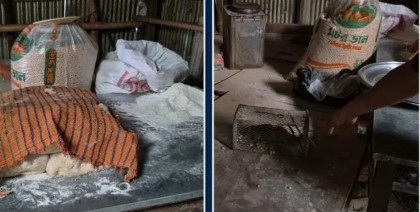 বগুড়ায় ইঁদুরের ফাঁদ ও কবুতরের বিষ্ঠার পাশেই তৈরী হচ্ছিল জনপ্রিয় ফুচকা-চটপটি