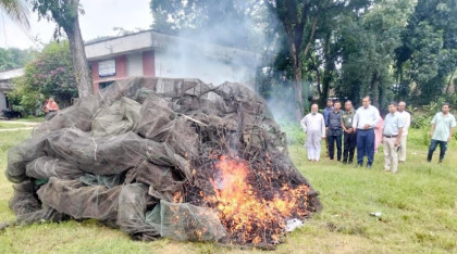 রাণীনগরে পোড়ানো হলো ২ লাখ টাকার অবৈধ জাল